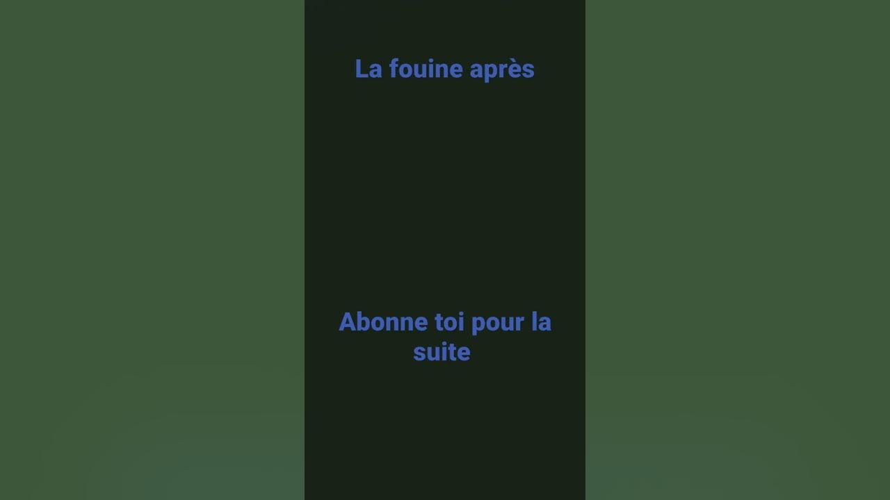 la fouine avant VS après VS maintenant YouTube la fouine avant VS après VS maintenant YouTube