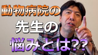 「動物病院の先生の悩み」