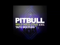 Pitbull ft. G.R.L - Wild Wild Love (TAITO Bootleg)