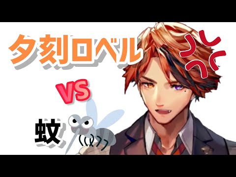 夕刻ロベル VS 蚊 【ホロスターズ切り抜き/夕刻ロベル】