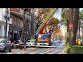 [INTERVENTION] Valencia Fire Service - CUTTING DOWN A DANGEROUS PALM TREE