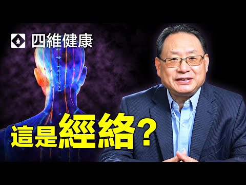 真正的 [ 經絡 ] 不是它！楊醫生講解被誤解的人體經絡。