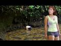 Harvest Giant Fish: Survival Journey in the Wild Mountain Stream