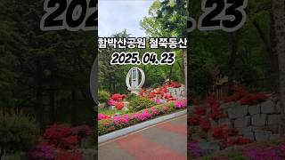 #함박산공원 #철쭉군락지 #자산홍 #창녕군영산면 #힐링꽃데크길