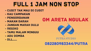 FULL ALBUM OM ARETA MUSIK NGULAK || Live JAMBI || putra record