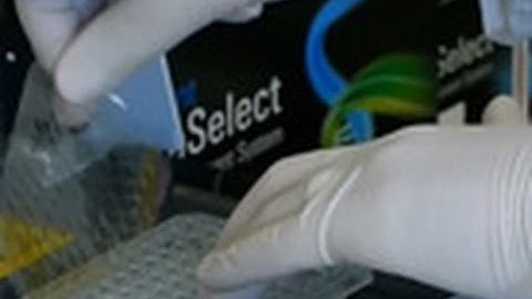 SureSelect: Hybridization