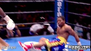 Boxing Vines