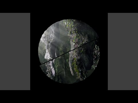 Winged Chamber Music