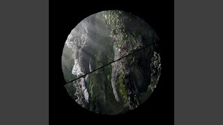 Winged Chamber Music