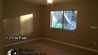 11701 RAINTREE DR, TAMPA, FL 33617 MLS-T2732009