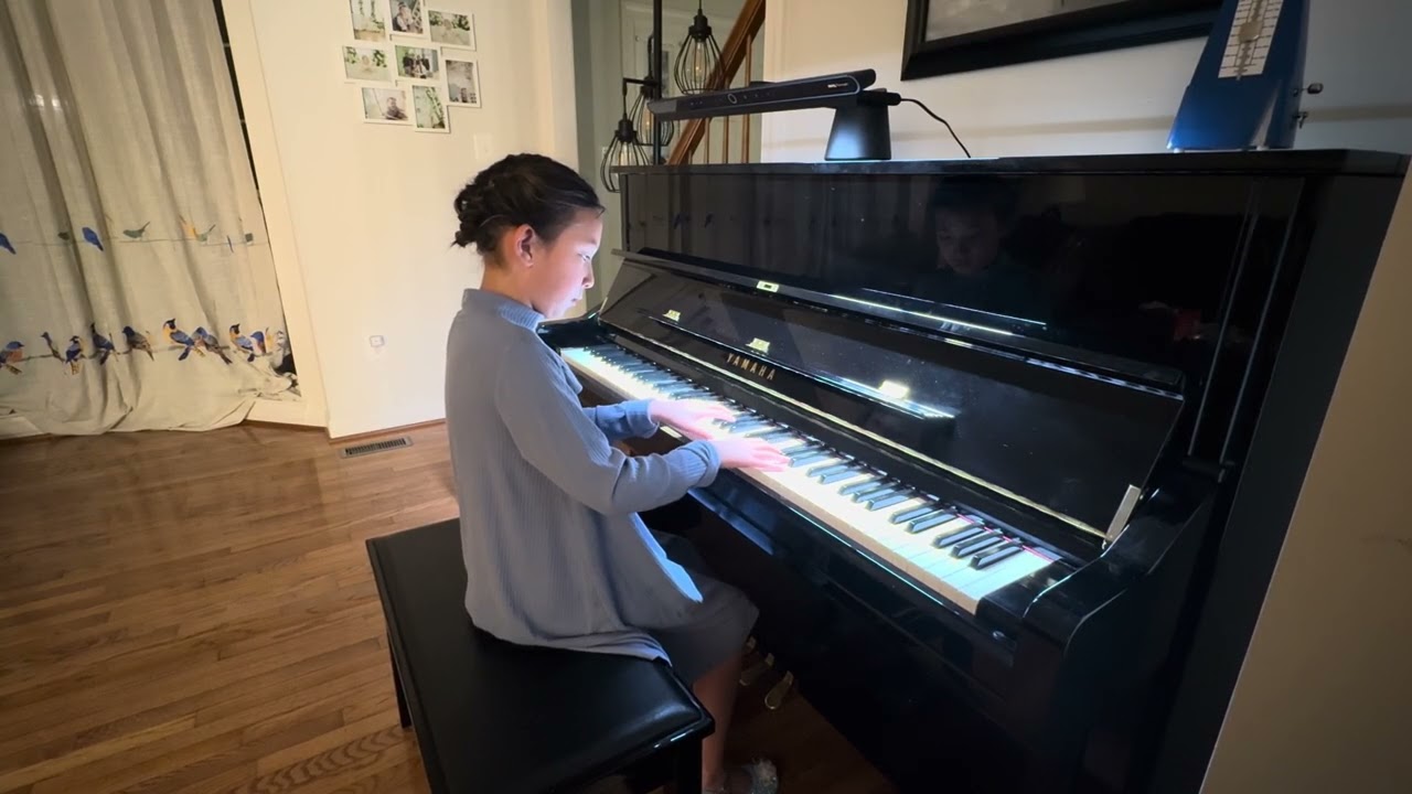 Haydn: Klavier Sonaten(Divertimento)  Hob.XVI:4 D-Dur, 1mov