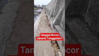 Tanggul Bocor, Waspada Jakarta Tenggelam