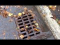 cleaning storm drain lid