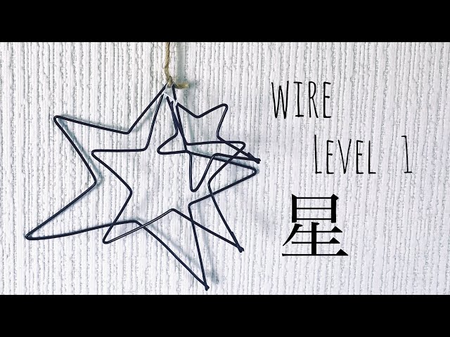 星NEW!