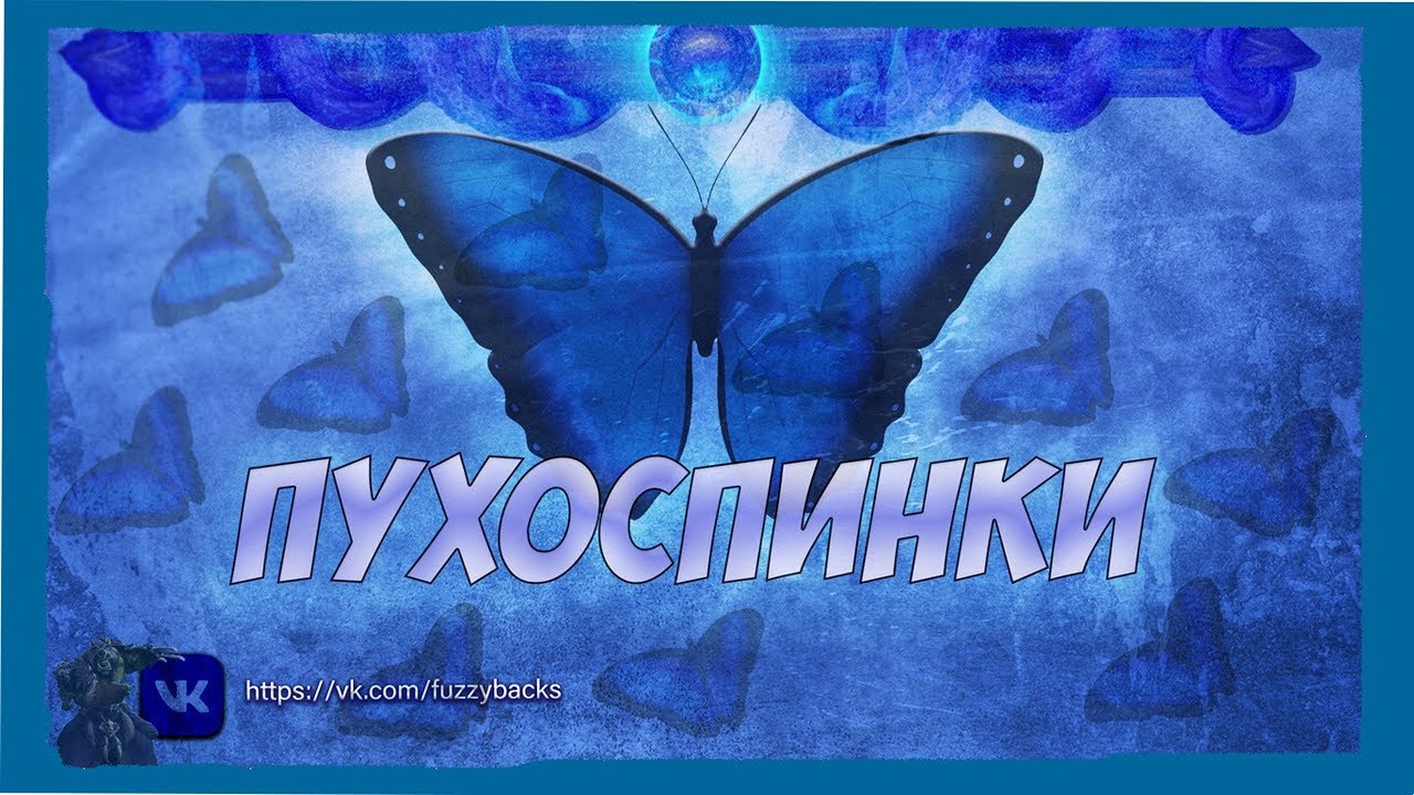 WoW BfA: Kill of Jaina Proudmoore from the guild of Fuzzybacks