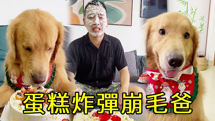 毛爸偷拿四毛零花錢買蛋糕，四毛生氣吃完，下一秒用氣球做假崩毛爸滿臉【起錯名的四毛】
