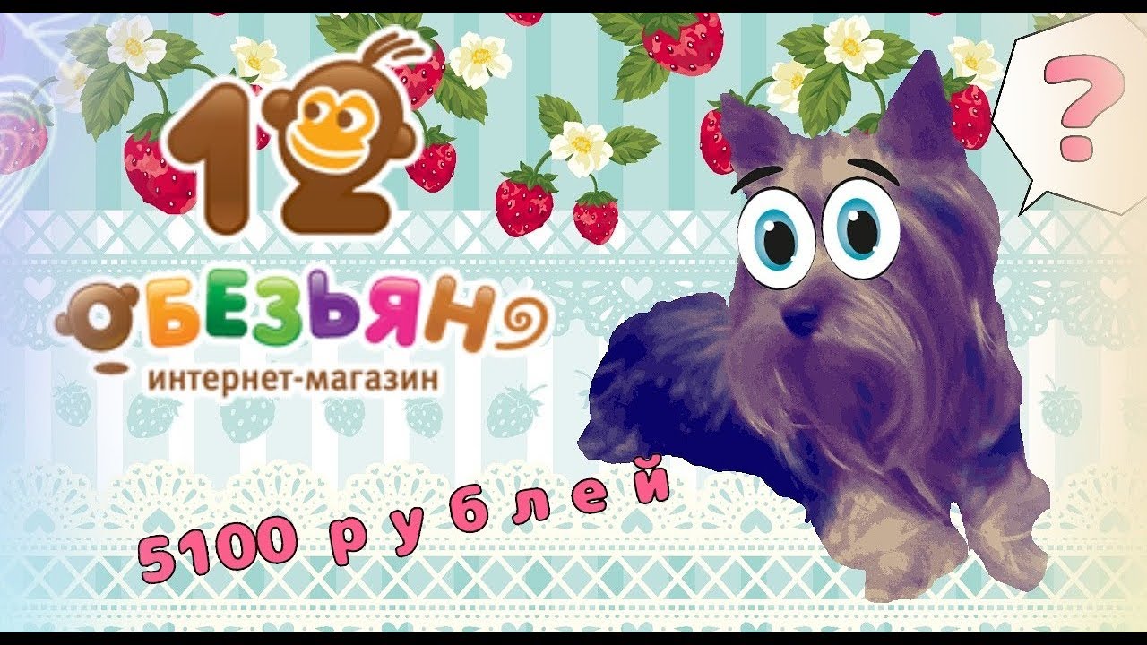 Интернет Магазин 12 Обезьян Зоомагазин Официальный