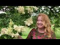 Take a Walk with Tavia #20 - Lilac Tree
