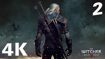 Live Stream 4K | The Witcher 3 Wild Hunt Gameplay Part 2 | RTX 2080Ti - no commentary