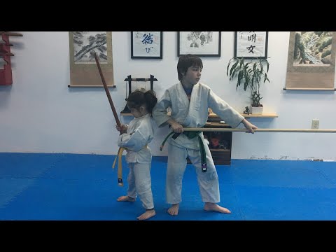 Aikido kids- school of Padawans