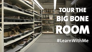 Big Bones and Dino Dig #LearnWithMe About Paleontology
