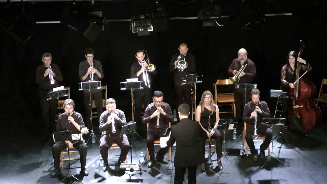 IX Concert   l'Aplec del Vinyet