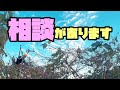 柿の木を切りながら相談があります