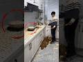 Unbelievable Boy Tried Popcorn To Impress Mom But FAILED Shortsvideo Unbelievable Boy Tried Popcorn To Impress Mom But FAILED Shortsvideo