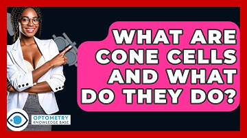 What Are Cone Cells And What Do They Do? - Optometry Knowledge Base