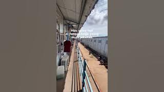 paling muda,tapi ingin cepat menikah #shorts #tiktok #galau #katakatabijak #sedih #quotes