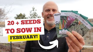 You Must Sow these Seeds in February - 20 + Seeds for Indoor Seed Starting
