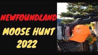 ANNUAL NEWFOUNDLAND MOOSE HUNT 2022 #newfoundland #moosehunting #outdoors #campinglife