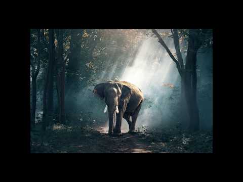 Fall of me (italiano) - Mario Caporaso