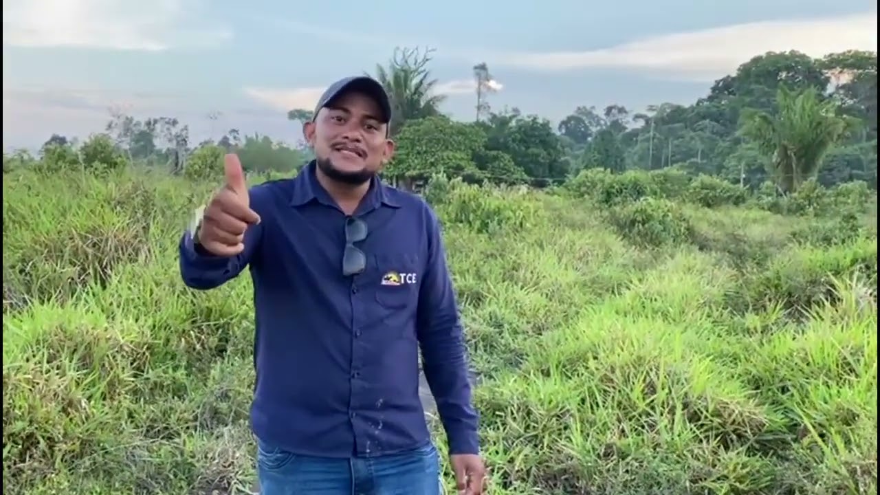 Pequena propriedade no estado do Pará município de Brasil novo