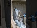 Una turbina Pelton aprovecha la presión generada por una caída de agua para producir electricidad
