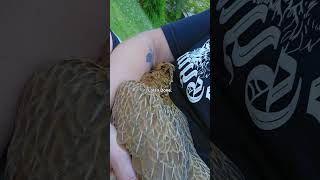 Lola May Is Done With The Heat