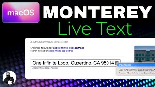 Live Text in Photos in MacOS Monterey! by Apple Ninja 7,313 views 2 years ago 3 minutes, 38 seconds