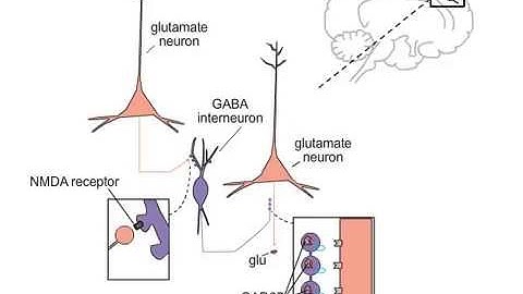 Schizophrenia and NMDA Receptors