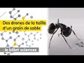 Des drones de la taille dun grain de sable