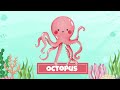 Learn Aquatic Animals for Kids | Water Animals Names | Tiny Wisdom