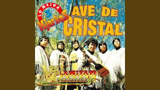 Video voorbeeld van "Los Kjarkas - Ave de Cristal"