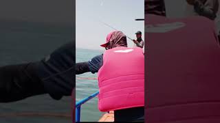 강화도농어우럭선상낚시
