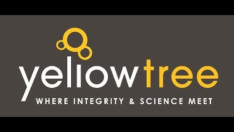 Yellow Tree Introduction Video
