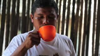 NATIBO -WWF CONVERSATORIO DE ACCION CIUDADANA INIRIDA VIDEO INTRODUCTORIO