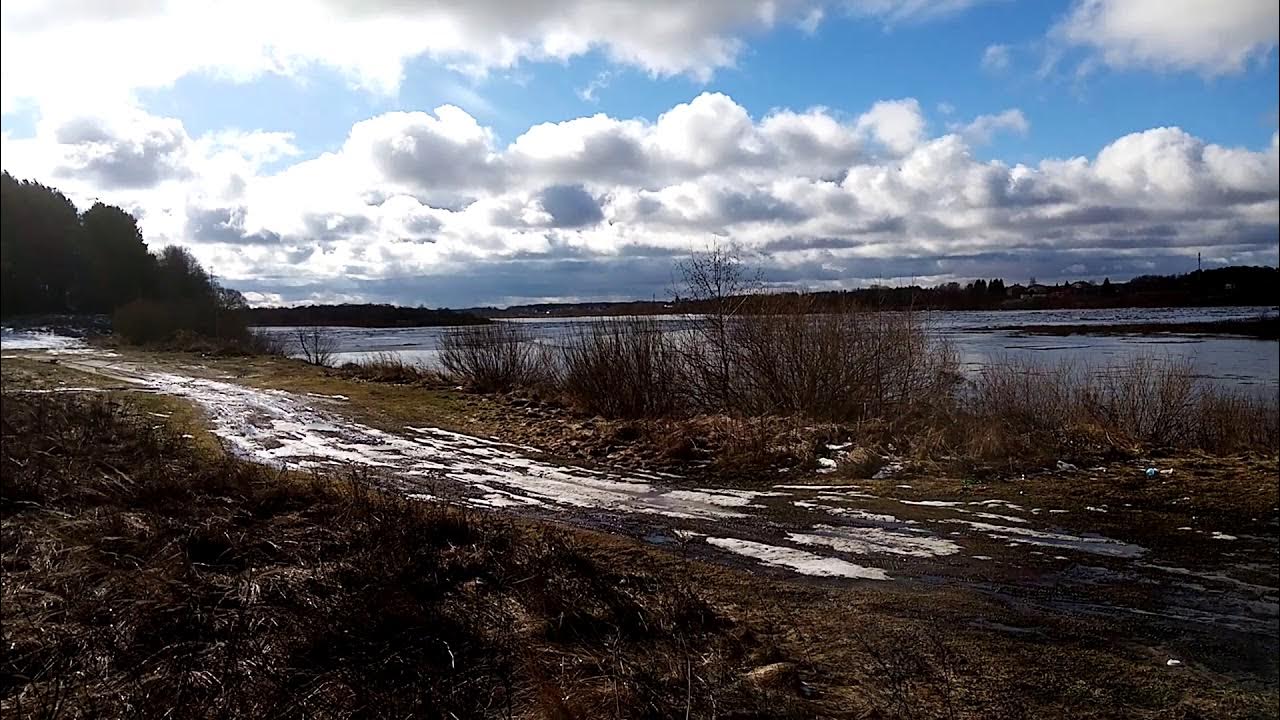 Где вскрылась река. Промежица река. Река вскрылась. Вскрытие рек. Река Промежица Псков.