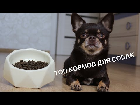 ТОП 9 КОРМОВ ДЛЯ СОБАК (СУПЕР ПРЕМИУМ - ХОЛИСТИК)