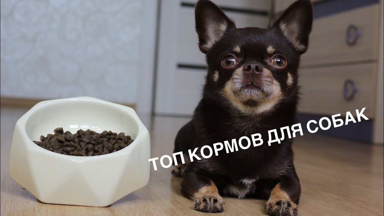 Сириус или Пробаланс