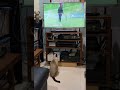 Yuki Thai cat catches Ariya Jutanugarn ball (Honda LPGA 2021) の動画、YouTube動画。