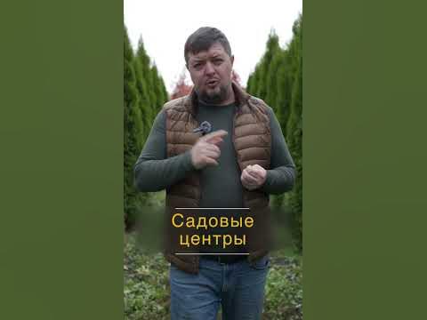 Кому продавать растения? 🌳 Кто является клиентом питомника? - YouTube