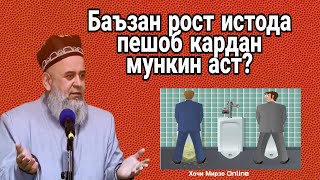 Тамошо кунед. Саволу Чавоб Хочи Мирзо 2020 Рост истода пешоб кардан чи хукм дорад?